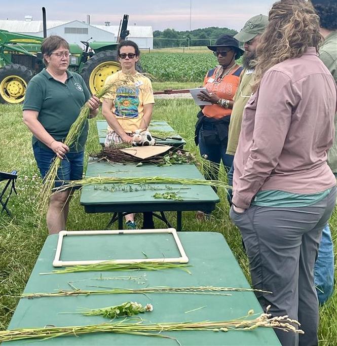 PSM professors Kim Cassida and Erin Burns identify weeds in a forage field.